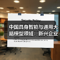 中国具身智能与通用大脑模型领域：新兴企业与初创公司的崛起（图4）