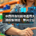 中国具身智能与通用大脑模型领域：新兴企业与初创公司的崛起（图2）