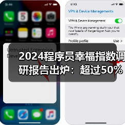 2024程序员幸福指数调研报告出炉：超过50%的程序员担心被AI取代（图3）
