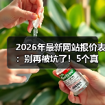 2026年最新网站报价表：别再被坑了！5个真相让你少花3万冤枉钱（图3）