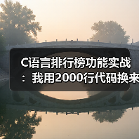 C语言排行榜功能实战：我用2000行代码换来的5个血泪教训（图4）