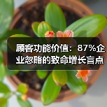 顾客功能价值：87%企业忽略的致命增长盲点