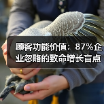 顾客功能价值：87%企业忽略的致命增长盲点（图2）