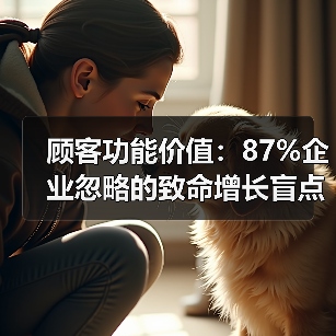 顾客功能价值：87%企业忽略的致命增长盲点（图4）