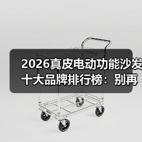 2026真皮电动功能沙发十大品牌排行榜：别再被销售忽悠，这10个闭眼入！（图2）