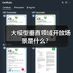 大模型垂直领域开放场景是什么？