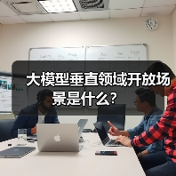 大模型垂直领域开放场景是什么？（图3）