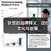 软盟的品牌释义、定位、文化与愿景（图4）