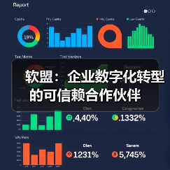 软盟：企业数字化转型的可信赖合作伙伴（图2）