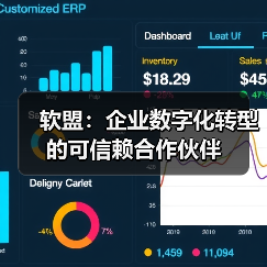 软盟：企业数字化转型的可信赖合作伙伴（图3）