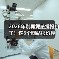 2026年别再凭感觉报价了！这5个网站报价模板帮你多赚37%（图2）