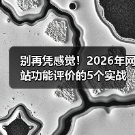别再凭感觉！2026年网站功能评价的5个实战维度（图4）