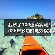 我炒了100道菜实测！2026年多功能电炒锅排行榜前十名，选错至少吃灰三年（图2）