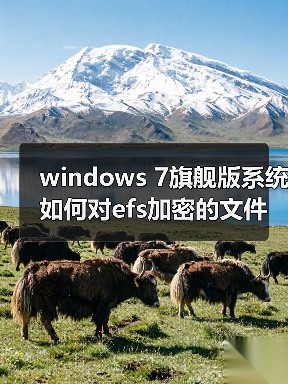 windows 7旗舰版系统如何对efs加密的文件或文件夹进行解密（图3）
