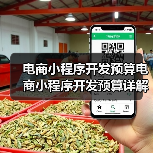电商小程序开发预算电商小程序开发预算详解及详细预算明细（图2）