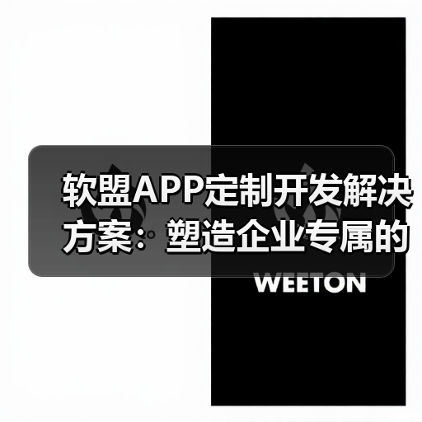 软盟APP定制开发解决方案：塑造企业专属的移动未来（图3）