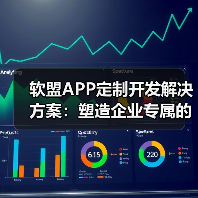 软盟APP定制开发解决方案：塑造企业专属的移动未来