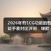 2026年有ECG功能的智能手表对比评测：哪款才是你的“心脏卫士”？（图3）