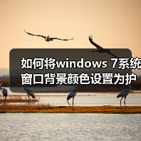 如何将windows 7系统窗口背景颜色设置为护眼色?（图4）