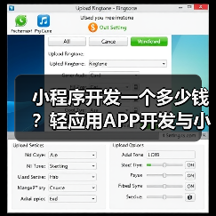 小程序开发一个多少钱？轻应用APP开发与小程序开发价格详解