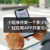 小程序开发一个多少钱？轻应用APP开发与小程序开发价格详解（图3）
