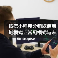 微信小程序分销返佣商城模式：常见模式与未来发展趋势分析（图2）