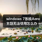 windows 7系统Aero主题无法使用怎么办 windows 7系统Aero主题无(图4) windows 7系统Aero主题无法使用怎么办 windows 7系统Aero主题无(图4)