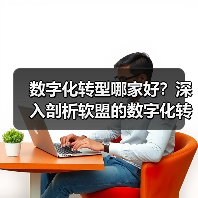 数字化转型哪家好?深入剖析软盟的数字化转型之道(图2) 数字化转型哪家好?深入剖析软盟的数字化转型之道(图2)