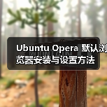 Ubuntu Opera 默认浏览器安装与设置方法(图1) Ubuntu Opera 默认浏览器安装与设置方法(图1)