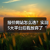 报价网站怎么选？实测5大平台后我放弃了“免费”（图3）