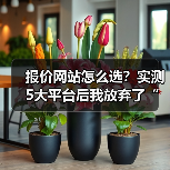 报价网站怎么选？实测5大平台后我放弃了“免费”（图4）