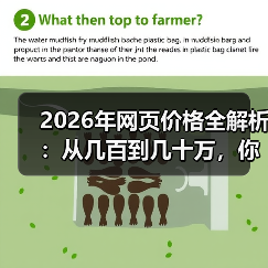 2026年网页价格全解析:从几百到几十万,你的预算该放哪?(图4) 2026年网页价格全解析:从几百到几十万,你的预算该放哪?(图4)