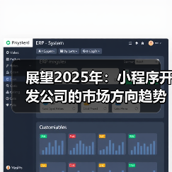 展望2025年：小程序开发公司的市场方向趋势分析与市场策略（图2）