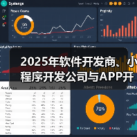2025年软件开发商、小程序开发公司与APP开发公司的市场方向及行业趋势预测（图1）