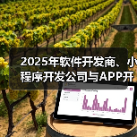 2025年软件开发商、小程序开发公司与APP开发公司的市场方向及行业趋势预测（图3）