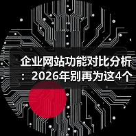 企业网站功能对比分析：2026年别再为这4个无用功能买单（图3）