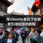 在Ubuntu系统下安装音乐播放器的教程（图4）