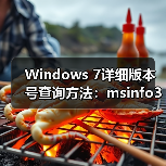 Windows 7详细版本号查询方法：msinfo32工具使用（图3）
