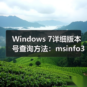 Windows 7详细版本号查询方法：msinfo32工具使用（图4）
