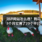测评网站怎么选?我花3个月实测了20个平台,交给你这份避坑指南(图3) 测评网站怎么选?我花3个月实测了20个平台,交给你这份避坑指南(图3)