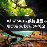 windows 7系统磁盘不显示变成未标记卷怎么办？