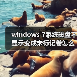 windows 7系统磁盘不显示变成未标记卷怎么办?(图3) windows 7系统磁盘不显示变成未标记卷怎么办?(图3)