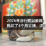 2026年排行网站推荐：我花了3个月实测，这5个真能打