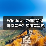 Windows 7如何禁播网页音乐？实用音量控制技巧（图4）