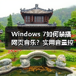 Windows 7如何禁播网页音乐？实用音量控制技巧（图3）