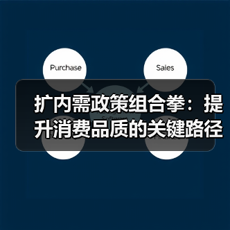 扩内需政策组合拳：提升消费品质的关键路径（图3）