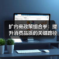 扩内需政策组合拳：提升消费品质的关键路径（图4）