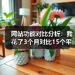 网站功能对比分析：我花了3个月对比15个平台，发现90%的人