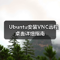 Ubuntu安装VNC远程桌面详细指南（图4）
