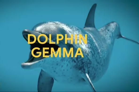 谷歌 DeepMind 开发 DolphinGemma AI